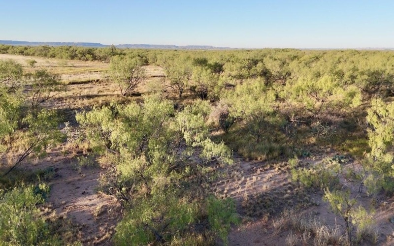 2365 CR 355, Justiceburg, TX 79330, 3 Bedrooms Bedrooms, ,3 BathroomsBathrooms,Residential,For Sale,2365 CR 355,0,202562961