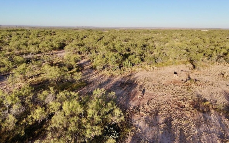 2365 CR 355, Justiceburg, TX 79330, 3 Bedrooms Bedrooms, ,3 BathroomsBathrooms,Residential,For Sale,2365 CR 355,0,202562961