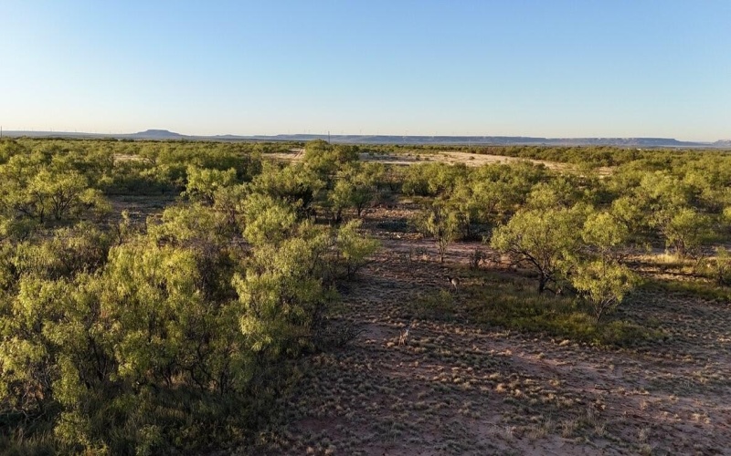 2365 CR 355, Justiceburg, TX 79330, 3 Bedrooms Bedrooms, ,3 BathroomsBathrooms,Residential,For Sale,2365 CR 355,0,202562961