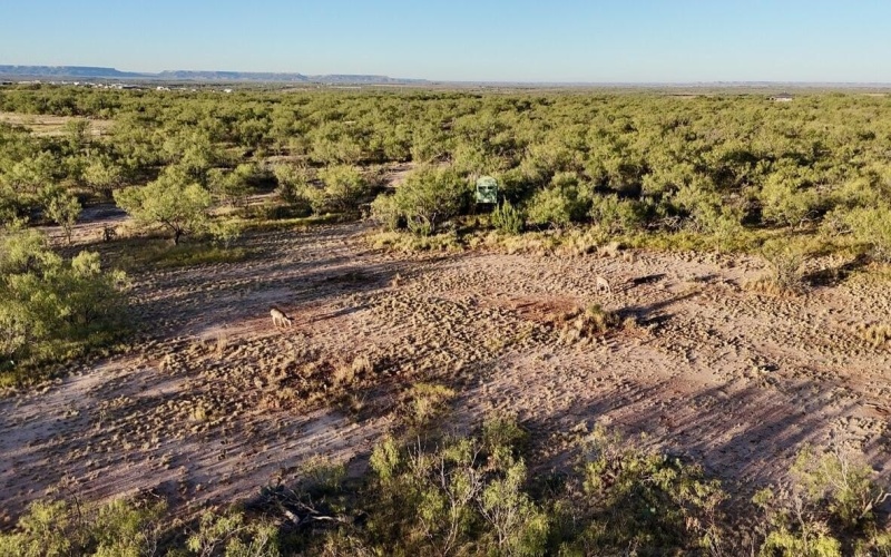 2365 CR 355, Justiceburg, TX 79330, 3 Bedrooms Bedrooms, ,3 BathroomsBathrooms,Residential,For Sale,2365 CR 355,0,202562961