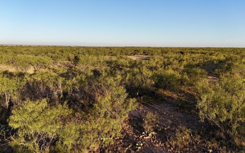 2365 CR 355, Justiceburg, TX 79330, 3 Bedrooms Bedrooms, ,3 BathroomsBathrooms,Residential,For Sale,2365 CR 355,0,202562961