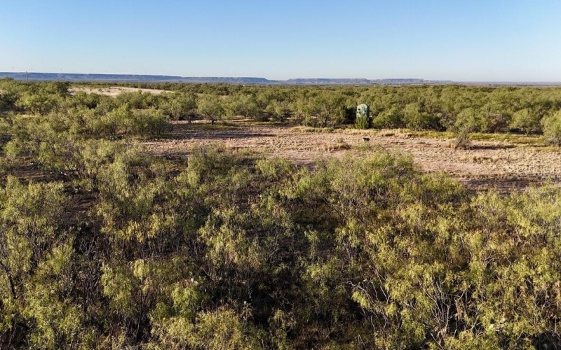 2365 CR 355, Justiceburg, TX 79330, 3 Bedrooms Bedrooms, ,3 BathroomsBathrooms,Residential,For Sale,2365 CR 355,0,202562961