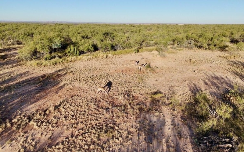 2365 CR 355, Justiceburg, TX 79330, 3 Bedrooms Bedrooms, ,3 BathroomsBathrooms,Residential,For Sale,2365 CR 355,0,202562961