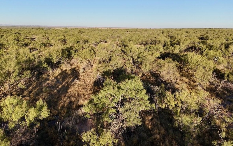 2365 CR 355, Justiceburg, TX 79330, 3 Bedrooms Bedrooms, ,3 BathroomsBathrooms,Residential,For Sale,2365 CR 355,0,202562961