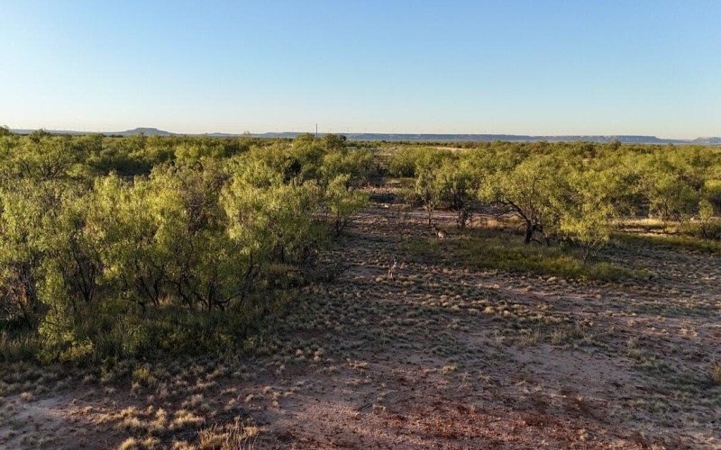 2365 CR 355, Justiceburg, TX 79330, 3 Bedrooms Bedrooms, ,3 BathroomsBathrooms,Residential,For Sale,2365 CR 355,0,202562961