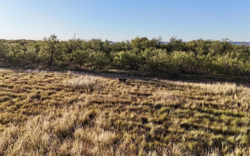 2365 CR 355, Justiceburg, TX 79330, 3 Bedrooms Bedrooms, ,3 BathroomsBathrooms,Residential,For Sale,2365 CR 355,0,202562961