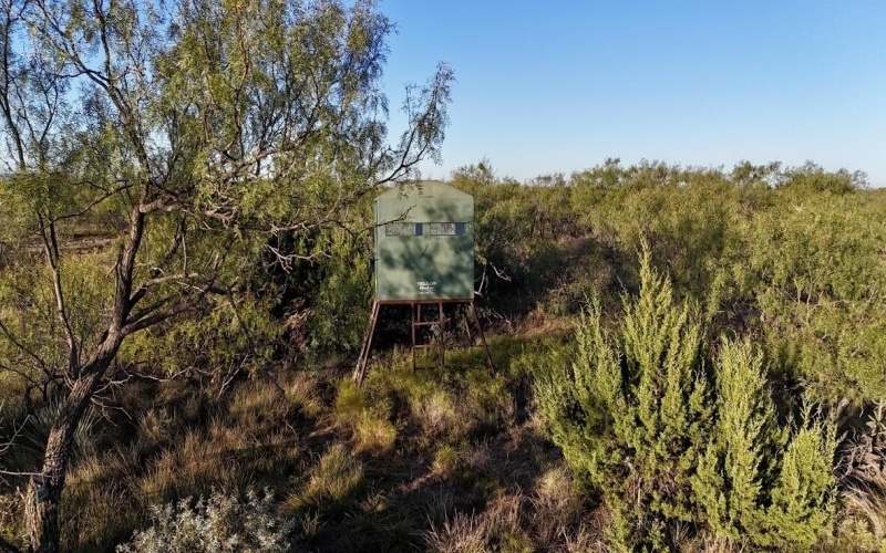 2365 CR 355, Justiceburg, TX 79330, 3 Bedrooms Bedrooms, ,3 BathroomsBathrooms,Residential,For Sale,2365 CR 355,0,202562961