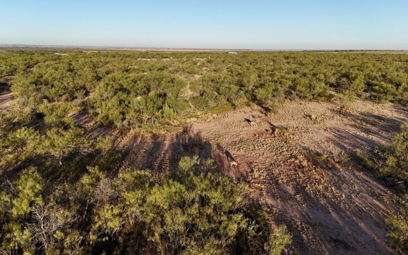 2365 CR 355, Justiceburg, TX 79330, 3 Bedrooms Bedrooms, ,3 BathroomsBathrooms,Residential,For Sale,2365 CR 355,0,202562961