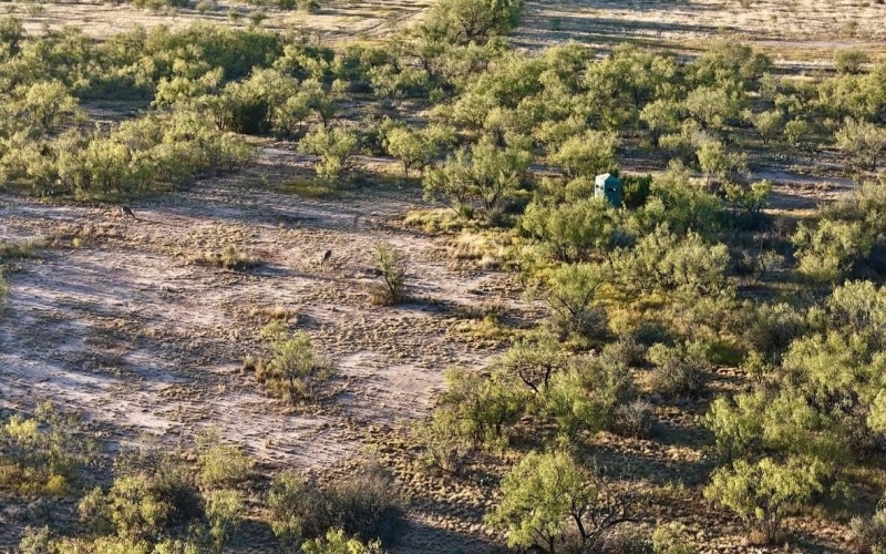 2365 CR 355, Justiceburg, TX 79330, 3 Bedrooms Bedrooms, ,3 BathroomsBathrooms,Residential,For Sale,2365 CR 355,0,202562961