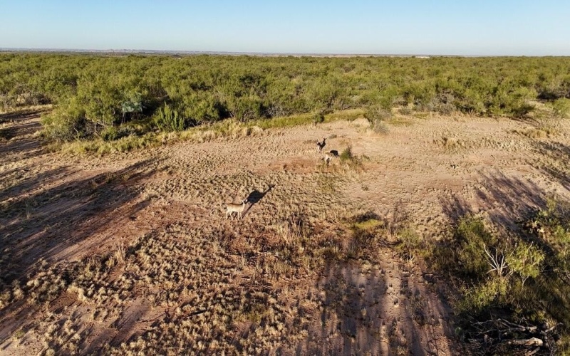 2365 CR 355, Justiceburg, TX 79330, 3 Bedrooms Bedrooms, ,3 BathroomsBathrooms,Residential,For Sale,2365 CR 355,0,202562961