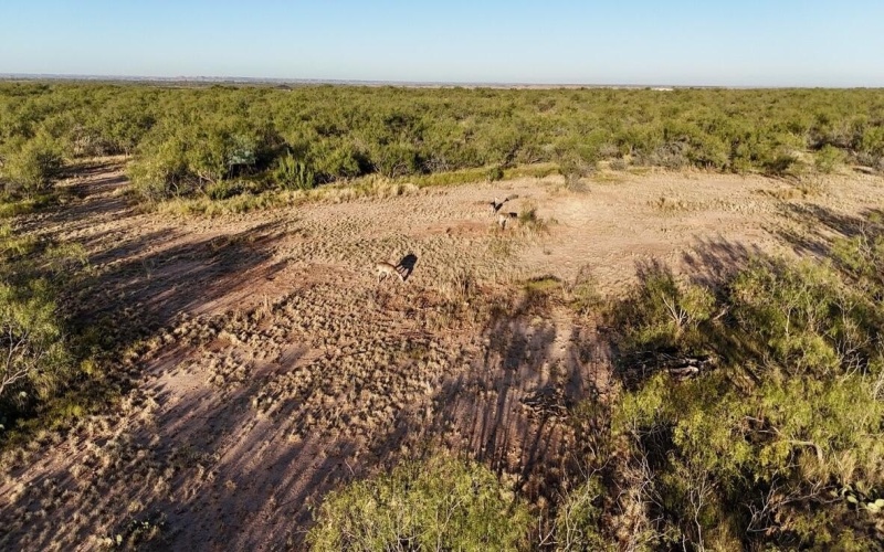 2365 CR 355, Justiceburg, TX 79330, 3 Bedrooms Bedrooms, ,3 BathroomsBathrooms,Residential,For Sale,2365 CR 355,0,202562961