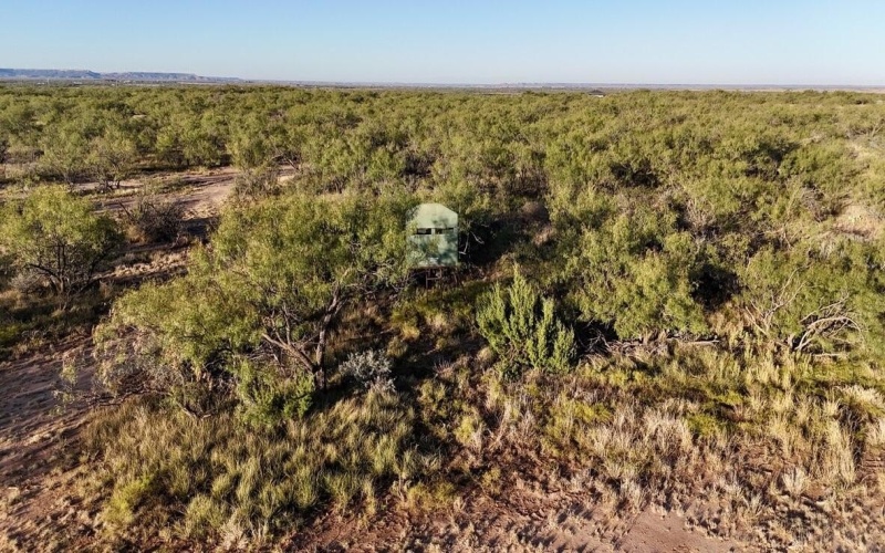 2365 CR 355, Justiceburg, TX 79330, 3 Bedrooms Bedrooms, ,3 BathroomsBathrooms,Residential,For Sale,2365 CR 355,0,202562961