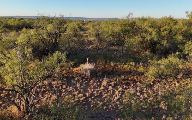 2365 CR 355, Justiceburg, TX 79330, 3 Bedrooms Bedrooms, ,3 BathroomsBathrooms,Residential,For Sale,2365 CR 355,0,202562961