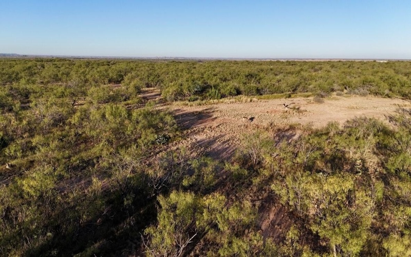 2365 CR 355, Justiceburg, TX 79330, 3 Bedrooms Bedrooms, ,3 BathroomsBathrooms,Residential,For Sale,2365 CR 355,0,202562961