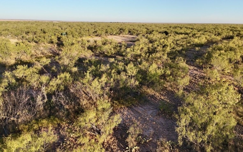 2365 CR 355, Justiceburg, TX 79330, 3 Bedrooms Bedrooms, ,3 BathroomsBathrooms,Residential,For Sale,2365 CR 355,0,202562961