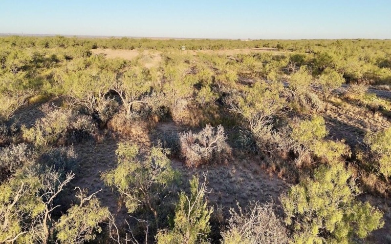 2365 CR 355, Justiceburg, TX 79330, 3 Bedrooms Bedrooms, ,3 BathroomsBathrooms,Residential,For Sale,2365 CR 355,0,202562961