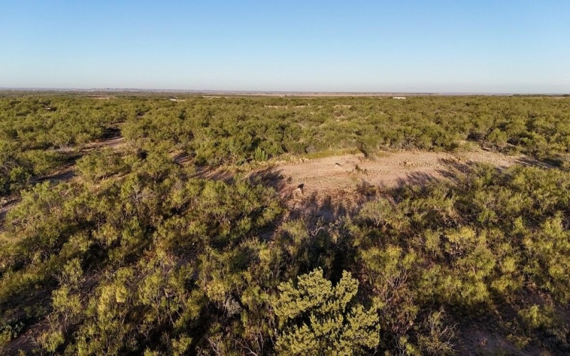 2365 CR 355, Justiceburg, TX 79330, 3 Bedrooms Bedrooms, ,3 BathroomsBathrooms,Residential,For Sale,2365 CR 355,0,202562961