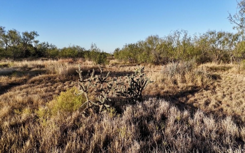 2365 CR 355, Justiceburg, TX 79330, 3 Bedrooms Bedrooms, ,3 BathroomsBathrooms,Residential,For Sale,2365 CR 355,0,202562961