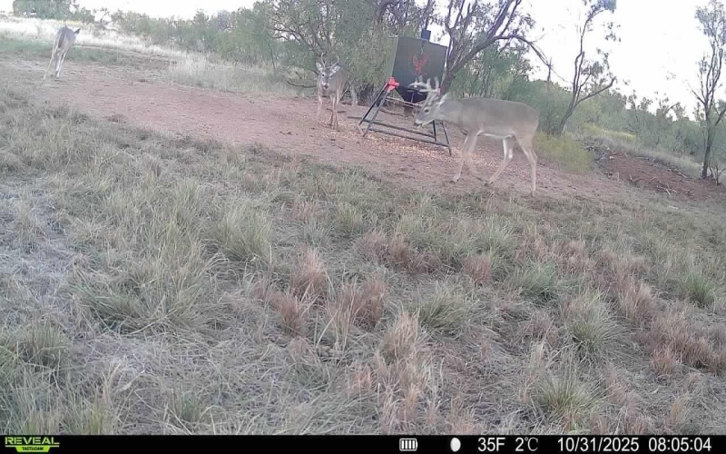 2365 CR 355, Justiceburg, TX 79330, 3 Bedrooms Bedrooms, ,3 BathroomsBathrooms,Residential,For Sale,2365 CR 355,0,202562961