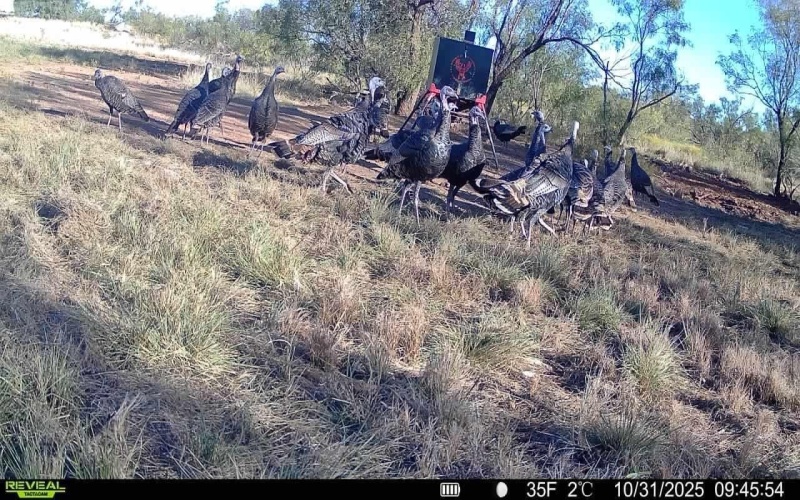 2365 CR 355, Justiceburg, TX 79330, 3 Bedrooms Bedrooms, ,3 BathroomsBathrooms,Residential,For Sale,2365 CR 355,0,202562961