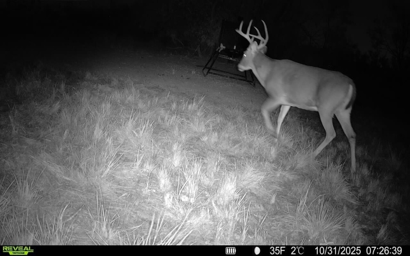 2365 CR 355, Justiceburg, TX 79330, 3 Bedrooms Bedrooms, ,3 BathroomsBathrooms,Residential,For Sale,2365 CR 355,0,202562961