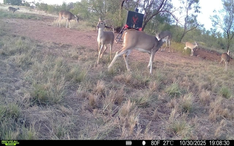 2365 CR 355, Justiceburg, TX 79330, 3 Bedrooms Bedrooms, ,3 BathroomsBathrooms,Residential,For Sale,2365 CR 355,0,202562961