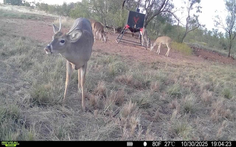 2365 CR 355, Justiceburg, TX 79330, 3 Bedrooms Bedrooms, ,3 BathroomsBathrooms,Residential,For Sale,2365 CR 355,0,202562961