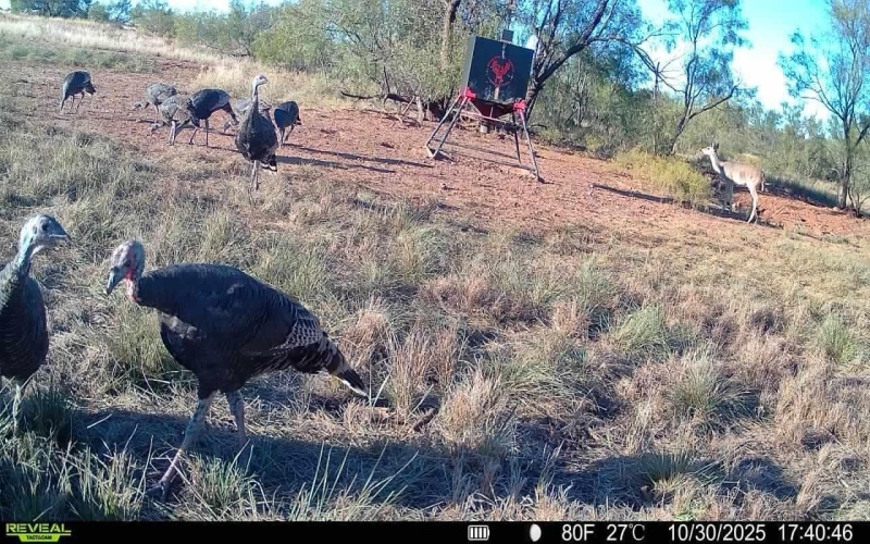 2365 CR 355, Justiceburg, TX 79330, 3 Bedrooms Bedrooms, ,3 BathroomsBathrooms,Residential,For Sale,2365 CR 355,0,202562961