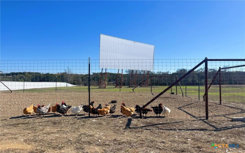 3196 Rene Street, Copperas Cove, TX 76522, ,Residential,For Sale,3196 Rene Street,0,590134