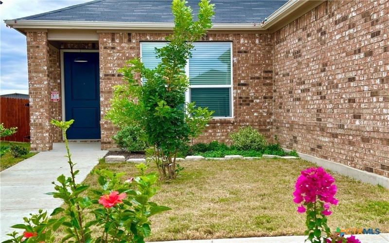 4136 Carraway Street, New Braunfels, TX 78130, 3 Habitaciones Habitaciones , ,2 BañosBaños,Residential,En Venta,4136 Carraway Street,0,596886