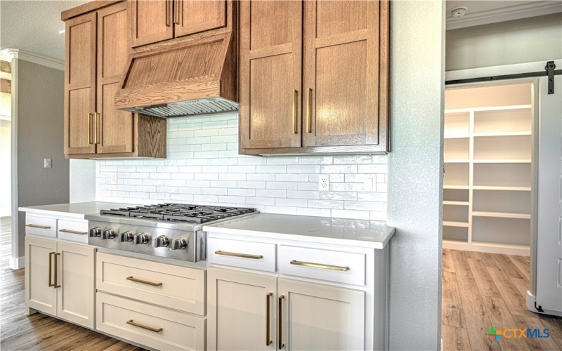 8186 S Lone Star Parkway, Moody, TX 76557, 6 Bedrooms Bedrooms, ,5 BathroomsBathrooms,Residential,For Sale,8186 S Lone Star Parkway,0,597889