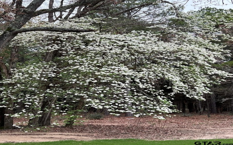 19387 FM 1804, Lindale, TX 75771, 4 Bedrooms Bedrooms, ,2 BathroomsBathrooms,Residential,For Sale,19387 FM 1804,0,25016649