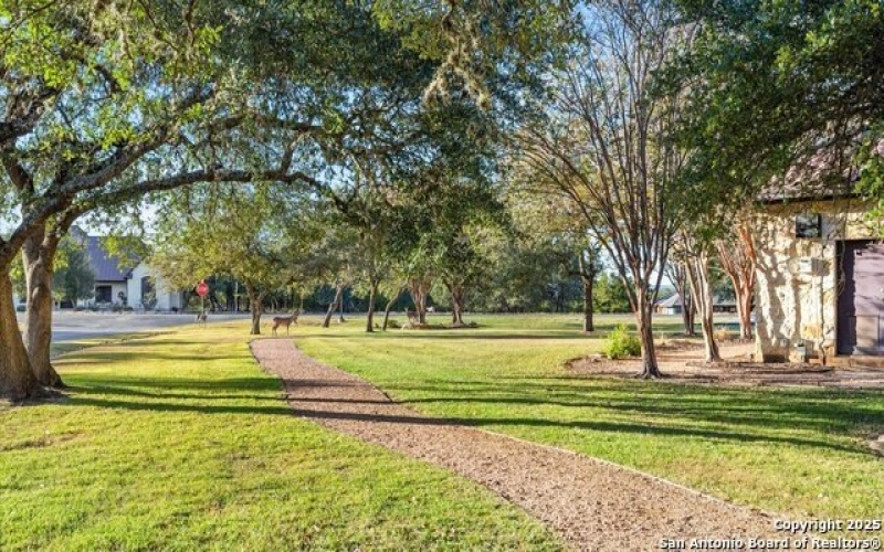 411 Cielo Vista, Canyon Lake, TX 78133, 4 Bedrooms Bedrooms, ,2 BathroomsBathrooms,Residential,For Sale,411 Cielo Vista,0,1922959