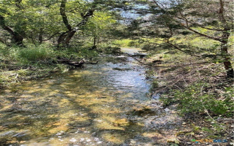 2887 CR 255 - FAMILY COMPOUND, Georgetown, TX 78633, 21 Bedrooms Bedrooms, ,10 BathroomsBathrooms,Residential,For Sale,2887 CR 255 - FAMILY COMPOUND,0,597990