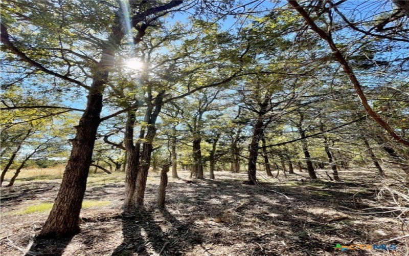 2887 CR 255 - FAMILY COMPOUND, Georgetown, TX 78633, 21 Bedrooms Bedrooms, ,10 BathroomsBathrooms,Residential,For Sale,2887 CR 255 - FAMILY COMPOUND,0,597990