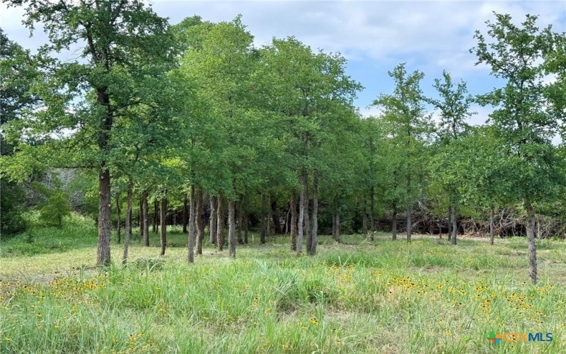 2887 CR 255 - FAMILY COMPOUND, Georgetown, TX 78633, 21 Bedrooms Bedrooms, ,10 BathroomsBathrooms,Residential,For Sale,2887 CR 255 - FAMILY COMPOUND,0,597990