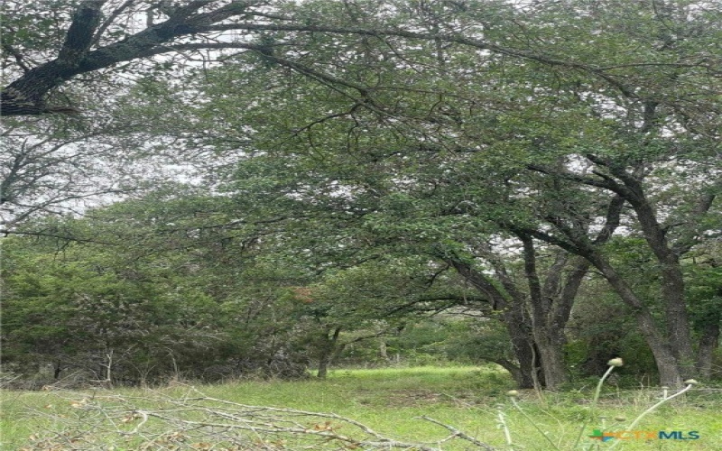 2887 CR 255 - FAMILY COMPOUND, Georgetown, TX 78633, 21 Bedrooms Bedrooms, ,10 BathroomsBathrooms,Residential,For Sale,2887 CR 255 - FAMILY COMPOUND,0,597990