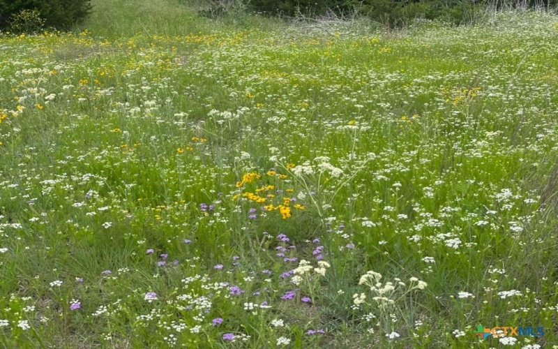 2887 CR 255 - FAMILY COMPOUND, Georgetown, TX 78633, 21 Bedrooms Bedrooms, ,10 BathroomsBathrooms,Residential,For Sale,2887 CR 255 - FAMILY COMPOUND,0,597990