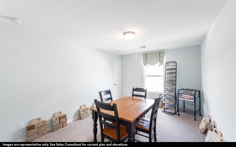 16712 Nicole Drive, Celina, TX 75009, 4 Habitaciones Habitaciones , ,3 BañosBaños,Residential,En Venta,16712 Nicole Drive,0,21109564