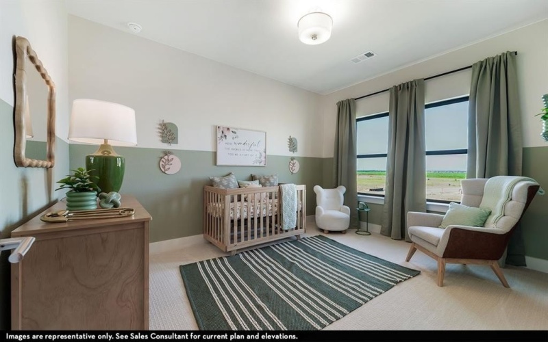 16313 Flatlands Way, Celina, TX 75009, 5 Habitaciones Habitaciones , ,5 BañosBaños,Residential,En Venta,16313 Flatlands Way,0,21109685