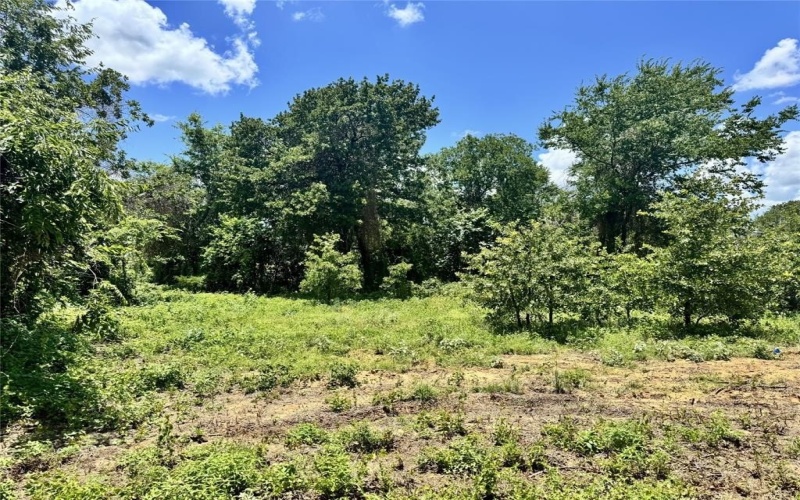 4009 County Road 310, Cleburne, TX 76031, 4 Habitaciones Habitaciones , ,2 BañosBaños,Residential,En Venta,4009 County Road 310,0,20979738