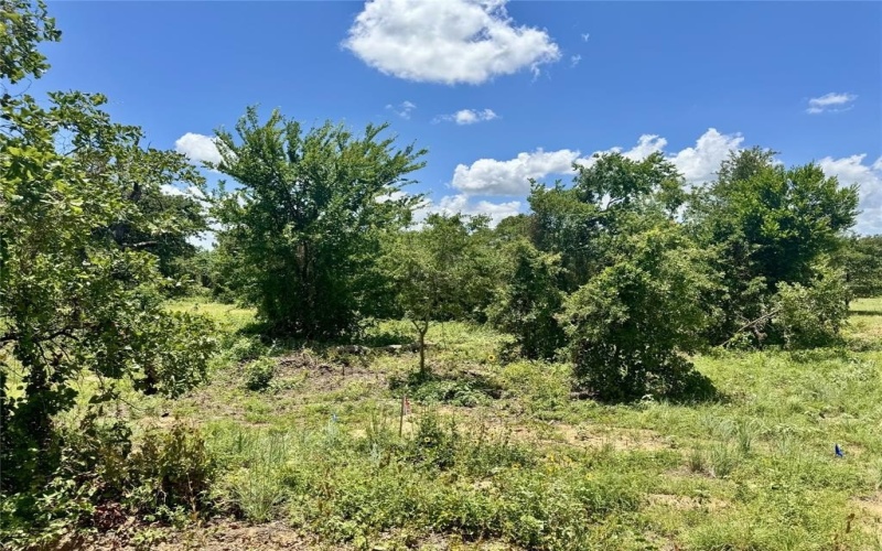 4009 County Road 310, Cleburne, TX 76031, 4 Habitaciones Habitaciones , ,2 BañosBaños,Residential,En Venta,4009 County Road 310,0,20979738