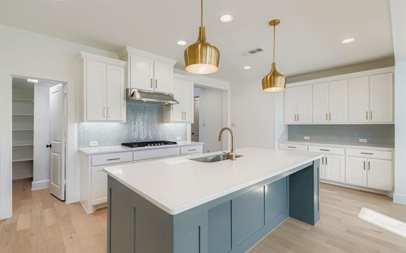 1295 Chestnut Drive, Haslet, TX 76052, 5 Bedrooms Bedrooms, ,5 BathroomsBathrooms,Residential,For Sale,1295 Chestnut Drive,0,21114791