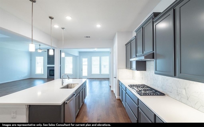 16729 Freshwater Drive, Celina, TX 75009, 3 Habitaciones Habitaciones , ,2 BañosBaños,Residential,En Venta,16729 Freshwater Drive,0,21108771