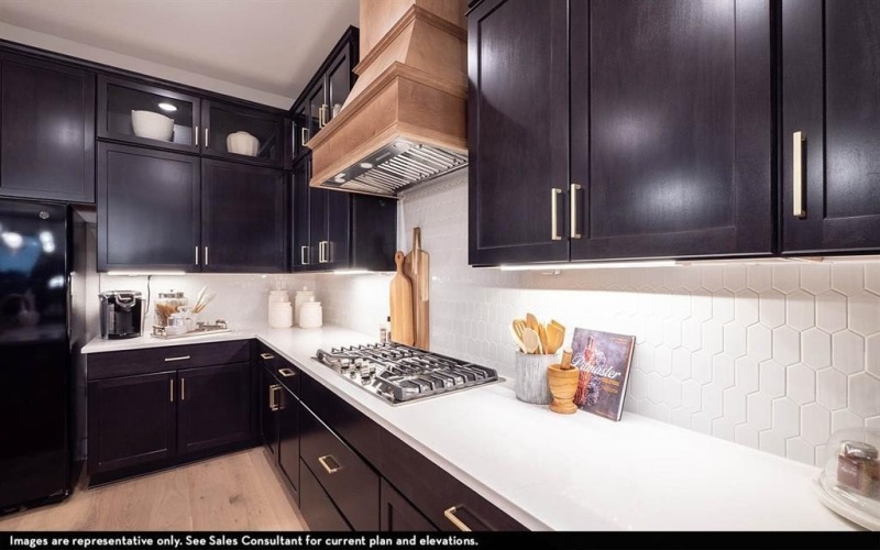 16725 Freshwater Drive, Celina, TX 75009, 3 Habitaciones Habitaciones , ,2 BañosBaños,Residential,En Venta,16725 Freshwater Drive,0,21114925