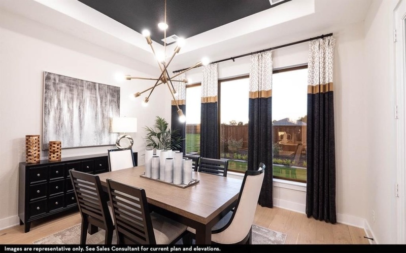 16725 Freshwater Drive, Celina, TX 75009, 3 Habitaciones Habitaciones , ,2 BañosBaños,Residential,En Venta,16725 Freshwater Drive,0,21114925