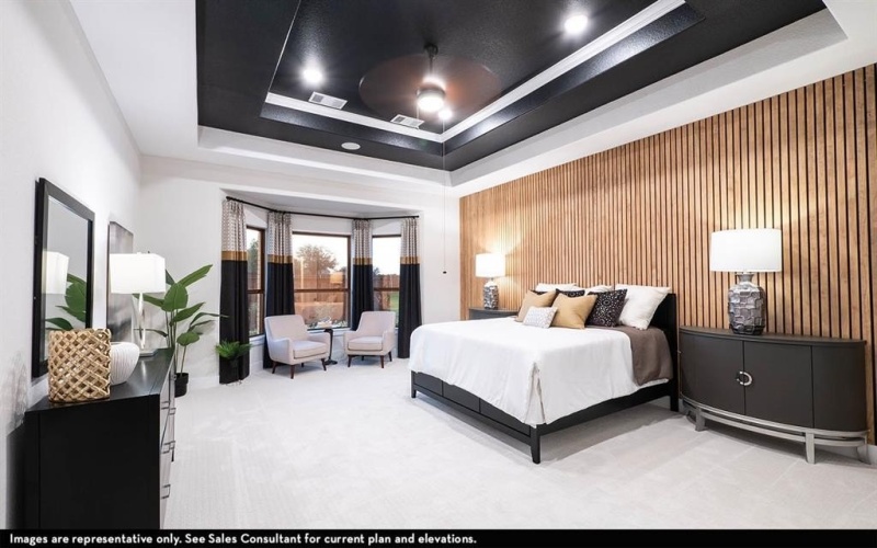 16725 Freshwater Drive, Celina, TX 75009, 3 Habitaciones Habitaciones , ,2 BañosBaños,Residential,En Venta,16725 Freshwater Drive,0,21114925