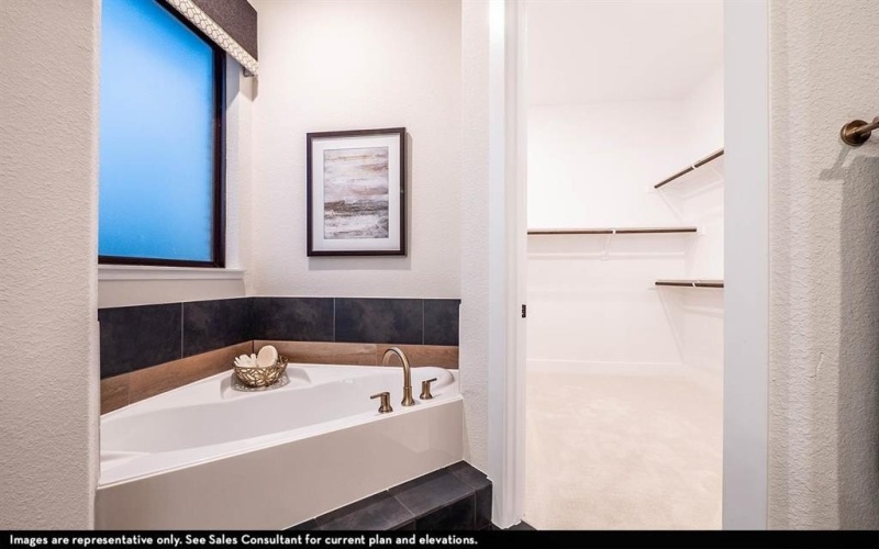 16725 Freshwater Drive, Celina, TX 75009, 3 Habitaciones Habitaciones , ,2 BañosBaños,Residential,En Venta,16725 Freshwater Drive,0,21114925