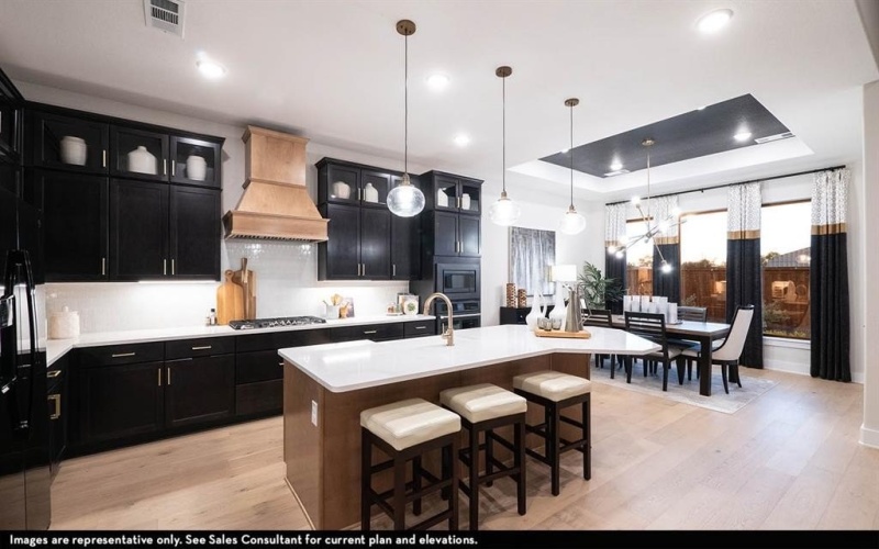 16725 Freshwater Drive, Celina, TX 75009, 3 Habitaciones Habitaciones , ,2 BañosBaños,Residential,En Venta,16725 Freshwater Drive,0,21114925