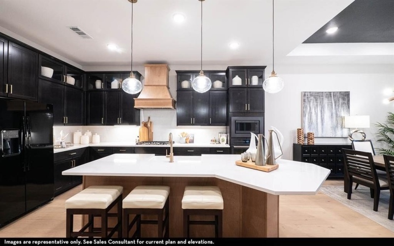 16725 Freshwater Drive, Celina, TX 75009, 3 Habitaciones Habitaciones , ,2 BañosBaños,Residential,En Venta,16725 Freshwater Drive,0,21114925